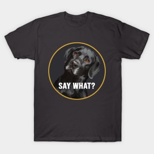 Black Labrador, say what? T-Shirt